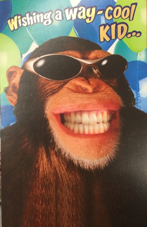 Are you laughing?